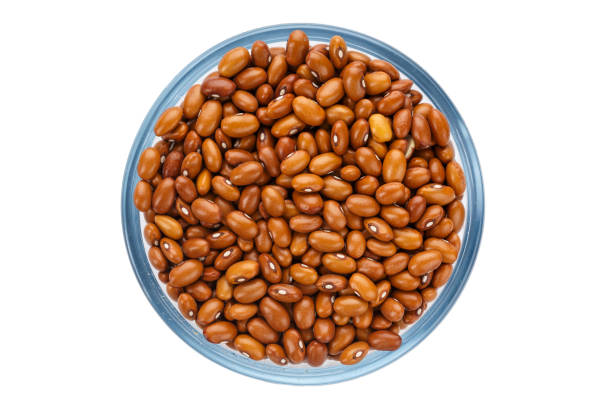 istock raw brown beans in a plate 938546626