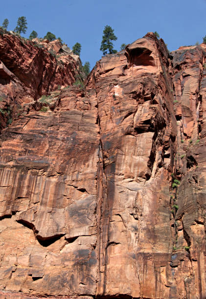 istock Zion National Park, Utah, USA 938549060