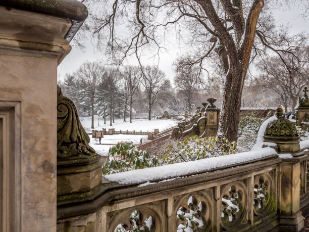 istock Bethesda Terrace and Fountain 938553482