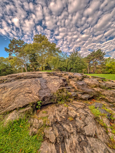 istock Central Park, New York City 938558566
