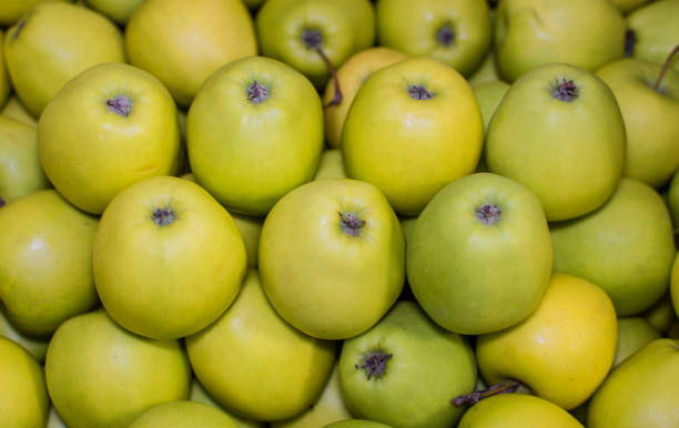 istock Pile of organic green apples 938569236