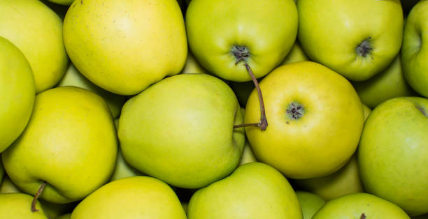 istock Pile of organic green apples 938569242