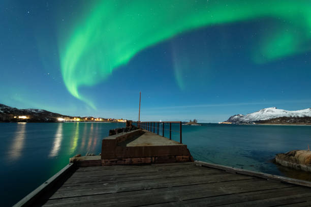 istock Northern Lights in Senja, Norway 938569284
