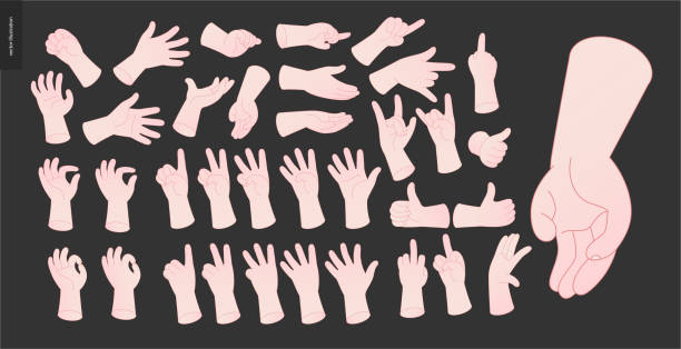 ilustraciones, imágenes clip art, dibujos animados e iconos de stock de vector conjunto de manos - palma de la mano
