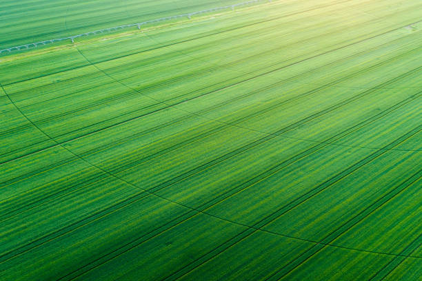 Aerial image of farmland