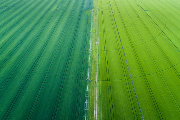 istock Aerial image of farmland 938579226