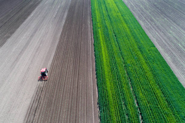 istock Aerial image of tractor working in field 938581858