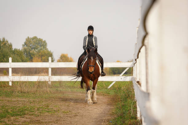 istock Autumn horse riding 938583744