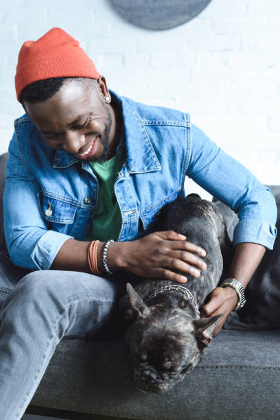 istock Handsome african american man playing with black Frenchie on sofa 938586496