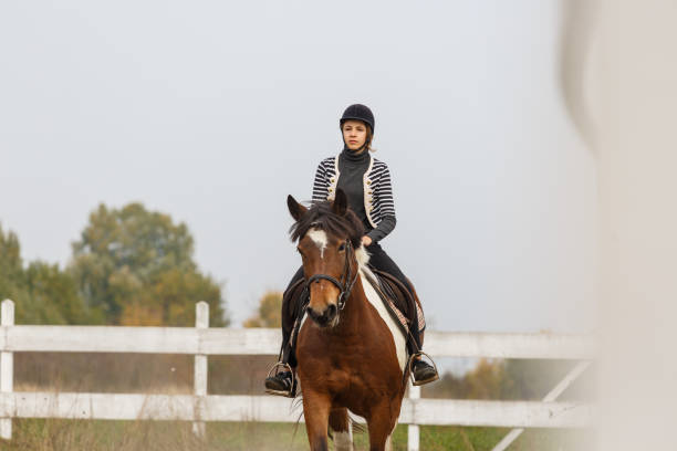 istock Autumn horse riding 938586522