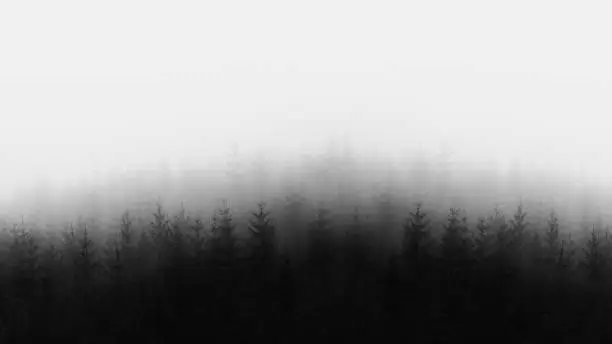 Photo of distant forest in black and white and copy space