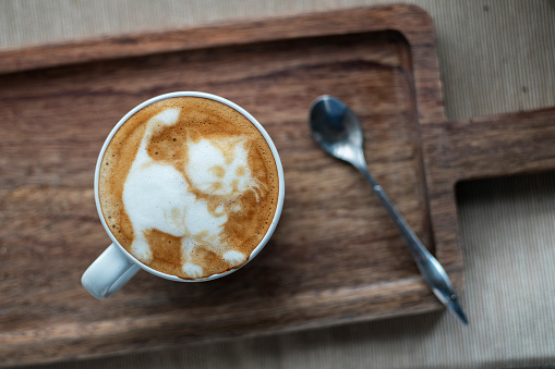 Latte coffee art: cat pattern