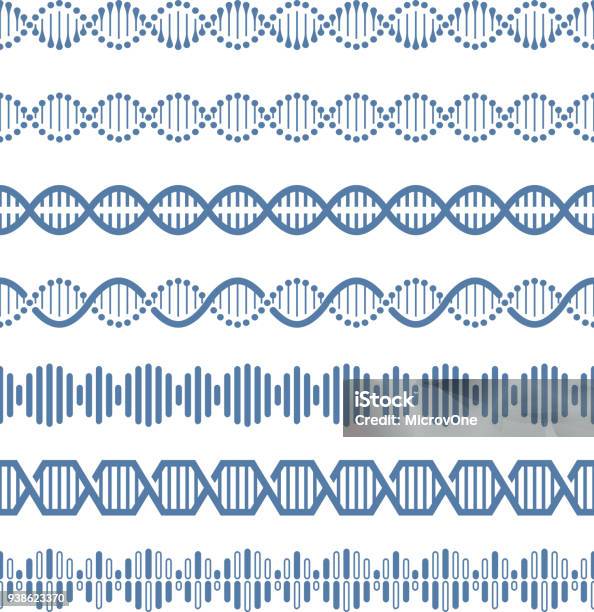 Ilustración de Pinceles De Patrones Sin Fisuras De Genoma Humano Modelo Estructural Adn Vector y más Vectores Libres de Derechos de ADN