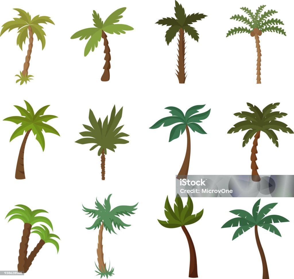 California palm trees. Summer tropical plant vector set California palm trees. Summer tropical plant vector set. Green palm tropical exotic illustration of collection Palm Tree stock vector