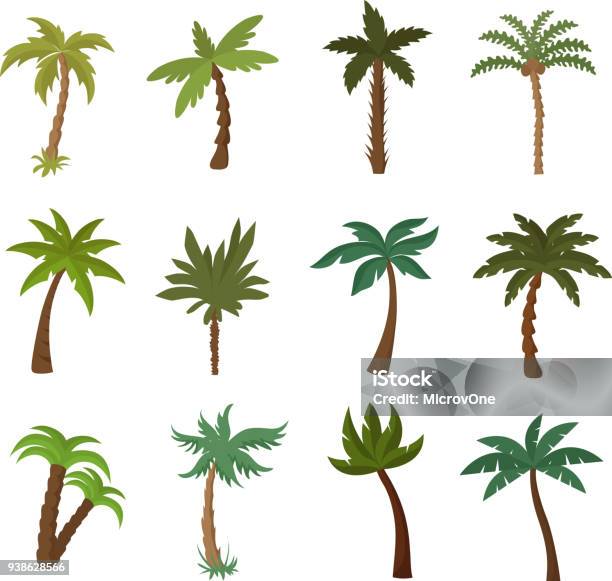 California Palm Trees Summer Tropical Plant Vector Set Stock Illustration - Download Image Now