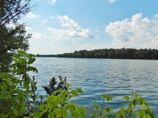istock Beautiful lake in summer 938640780