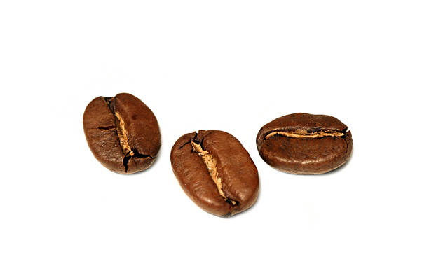 Coffee beans stock photo