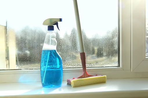 Bucket Spray And Squeegee For Window Cleaning On The Window Sill
