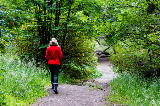 Attractive blond woman in red jacket walking along pathway in the middle of the forest. Ushuaia, Patagonia, Argentina