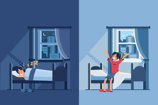 day and night Woman sleep in bed at night and wake up in the morning. Flat style vector illustration. bedroom illustrations stock illustrations