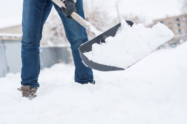 lose up view of snow shovel wih snow in man's hands. Man clean backyard of his hause after blizzard. stock photo
