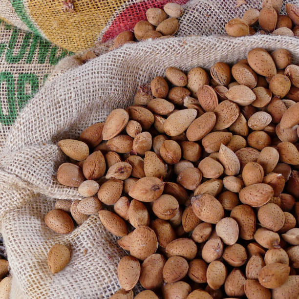 istock almond growing,Tenerife island 938667352