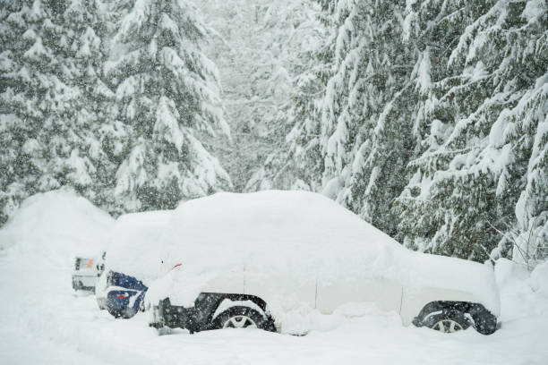 istock Vehicles snowed in during a blizzard 938673174