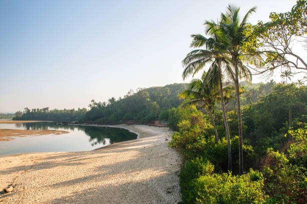 istock Landscape with palms in Ingia, Goa. 938677254