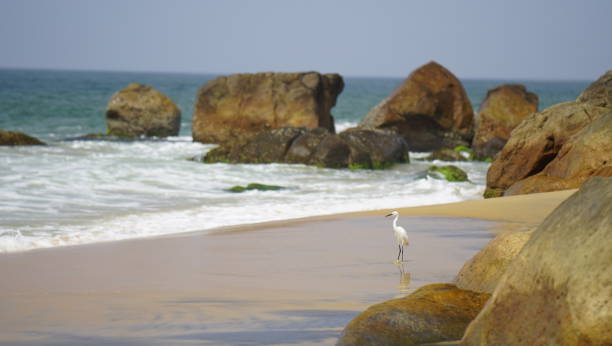 istock Ocean coast with waves and rocks 938687040