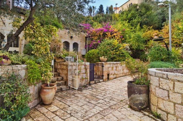 stare domy w jerozolimie - jerusalem israel tree ancient zdjęcia i obrazy z banku zdjęć