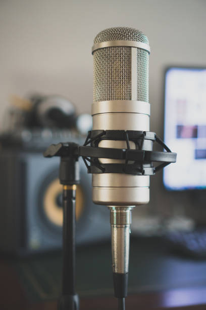 istock Professional tube condenser microphone in the record studio. 938717886