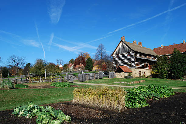 Rural vintage landscape. Wooden cart with straw in the foreground against the background of an old wooden mill and a green forest.