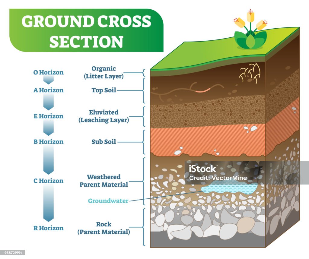 Ground Cross Section vector illustration with organic, topsoil, subsoil and other horizon levels. Ground Cross Section vector illustration with organic, topsoil, subsoil and other horizon levels. Geological information poster. Dirt stock vector