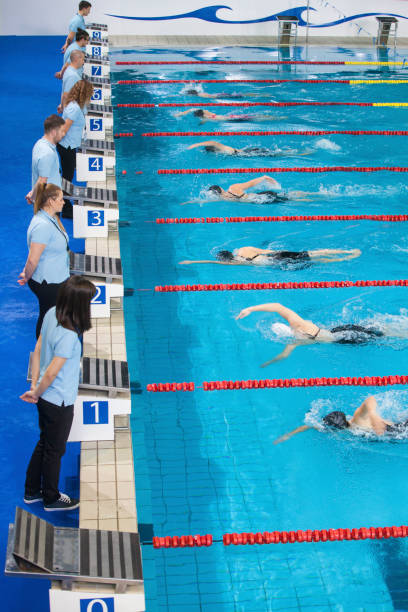 istock Finish of the swimming competition 938737622