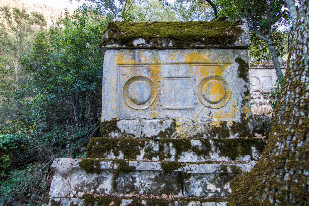 istock The ancient city of Termessos 938742510