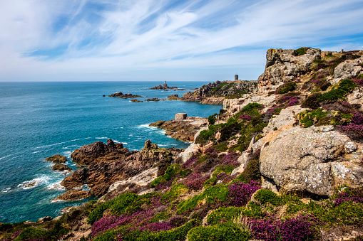 Heathland above Corbière Point, Corbière Lighthouse and WWII German Naval Tower MP2, Jersey, Channel Islands