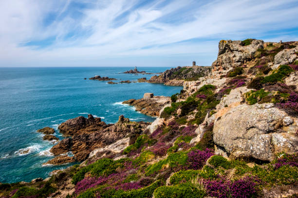 Heathland above Corbière Point, Corbière Lighthouse and WWII German Naval Tower MP2, Jersey, Channel Islands Heathland above Corbière Point, Corbière Lighthouse and WWII German Naval Tower MP2, Jersey, Channel Islands channel islands england stock pictures, royalty-free photos & images