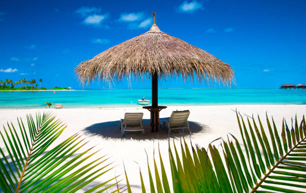 istock tropical beach in Maldives 938769994