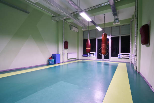 istock Interior of a spacious gym 938771356