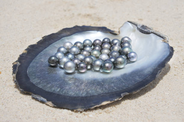 istock Excellent Round Tahitian Black Pearls 938778846
