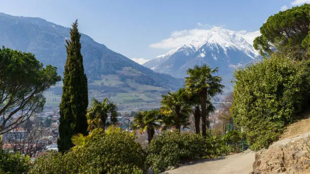 Beautiful Easter-Hike with palm trees and snow-covered mountains in Merano, Italy