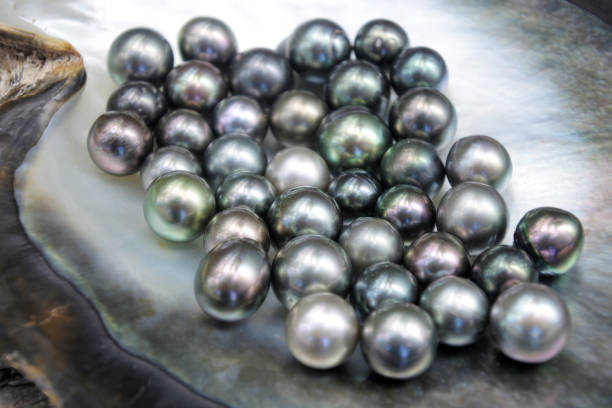 istock Excellent Round Tahitian Black Pearls 938779006