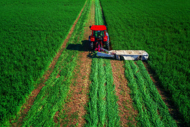 istock Tractor mowing green field, aerial drone view 938782922