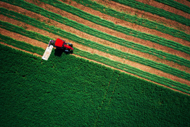Tractor mowing green field, aerial drone view