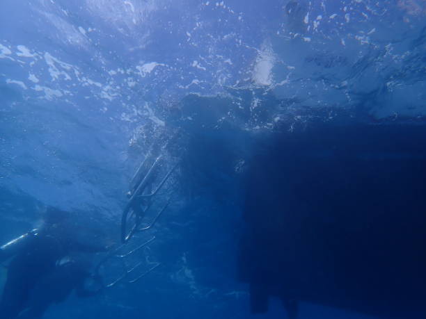 istock Scuba divers climbing up on a boat 938785572