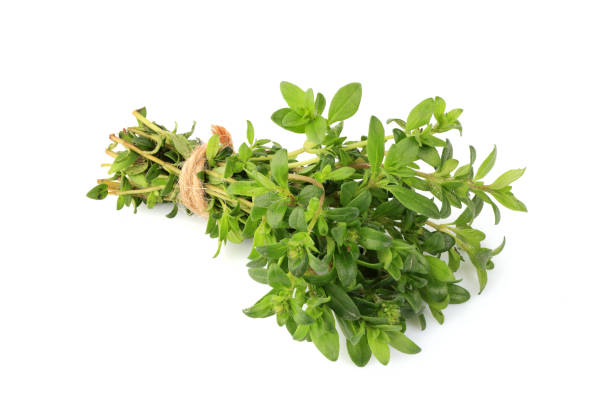 istock Sprigs of thyme in a bundle isolated. 938793006