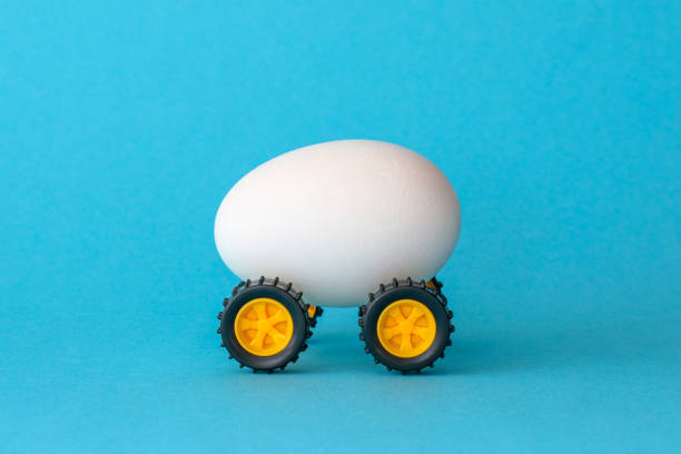 uovo di pasqua bianco su ruote su sfondo blu - animal egg eggs food giving foto e immagini stock