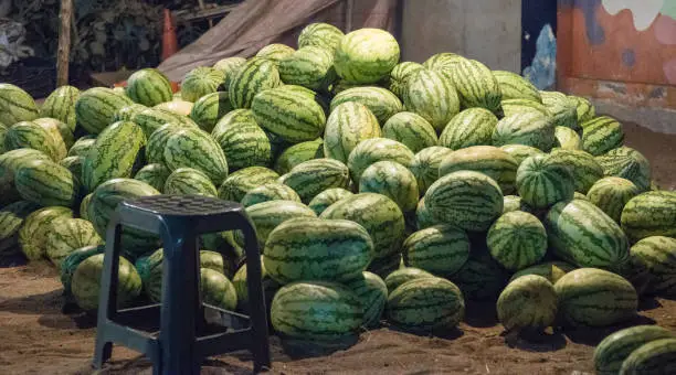 Bulk watermelons for sale by a street vendor at a fruit and vegetable market in India.