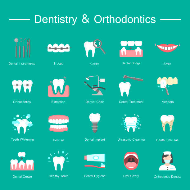 illustrazioni stock, clip art, cartoni animati e icone di tendenza di denti, dentista medico icone piatte. - dentista