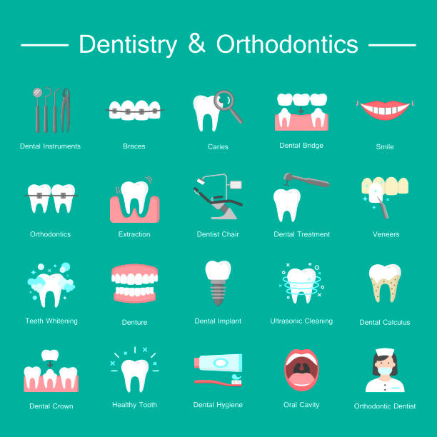 치아, 치과 의료 플랫 아이콘입니다. - prosthetic equipment illustrations stock illustrations